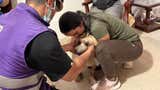 Terremoto en Colombia: rescatan a perrito ‘Antonio’ bajo nueve metros de escombros [FOTOS]