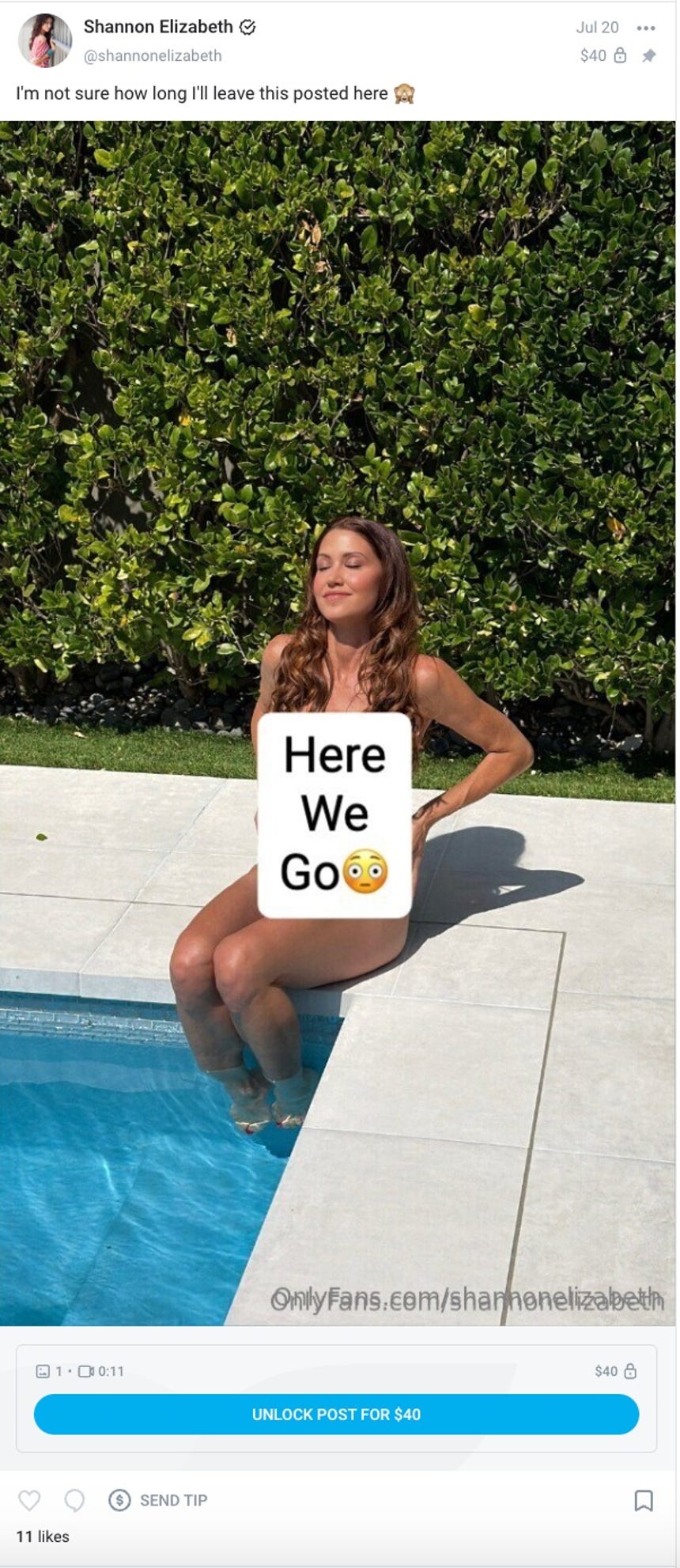 Pare del contenido que Shannon Elizabeth comparte en OnlyFans.