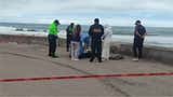 Villa El Salvador: un hombre fue asesinado a balazos en playa Venecia