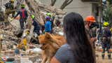 Cali avanza en la recuperación de cuerpos tras cumplirse una semana del devastador terremoto en Colombia