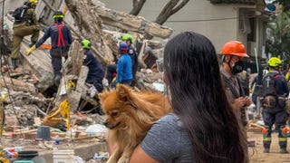 Cali avanza en la recuperación de cuerpos tras cumplirse una semana del devastador terremoto en Colombia