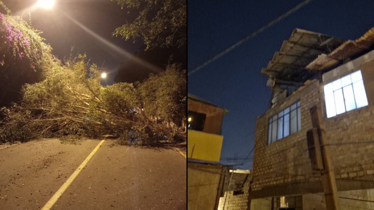 Árboles y calaminas de los techos de las casas caídas por los fuertes vientos