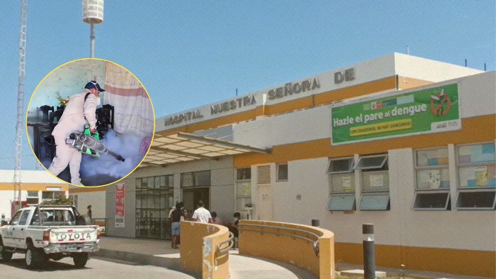 Aumento de casos de dengue se concentran en regiones del norte, indican cifras del Minsa.