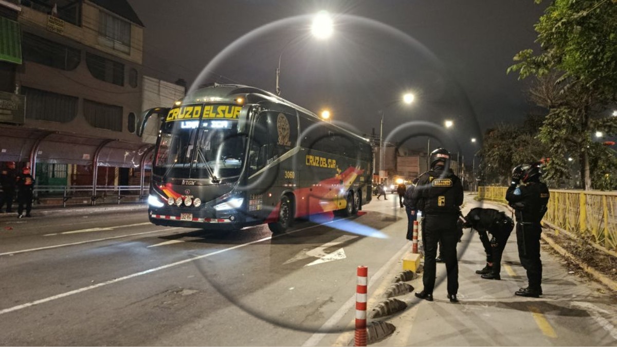 Bus interprovincial de la empresa Cruz del Sur fue atacado a balazos en San Luis