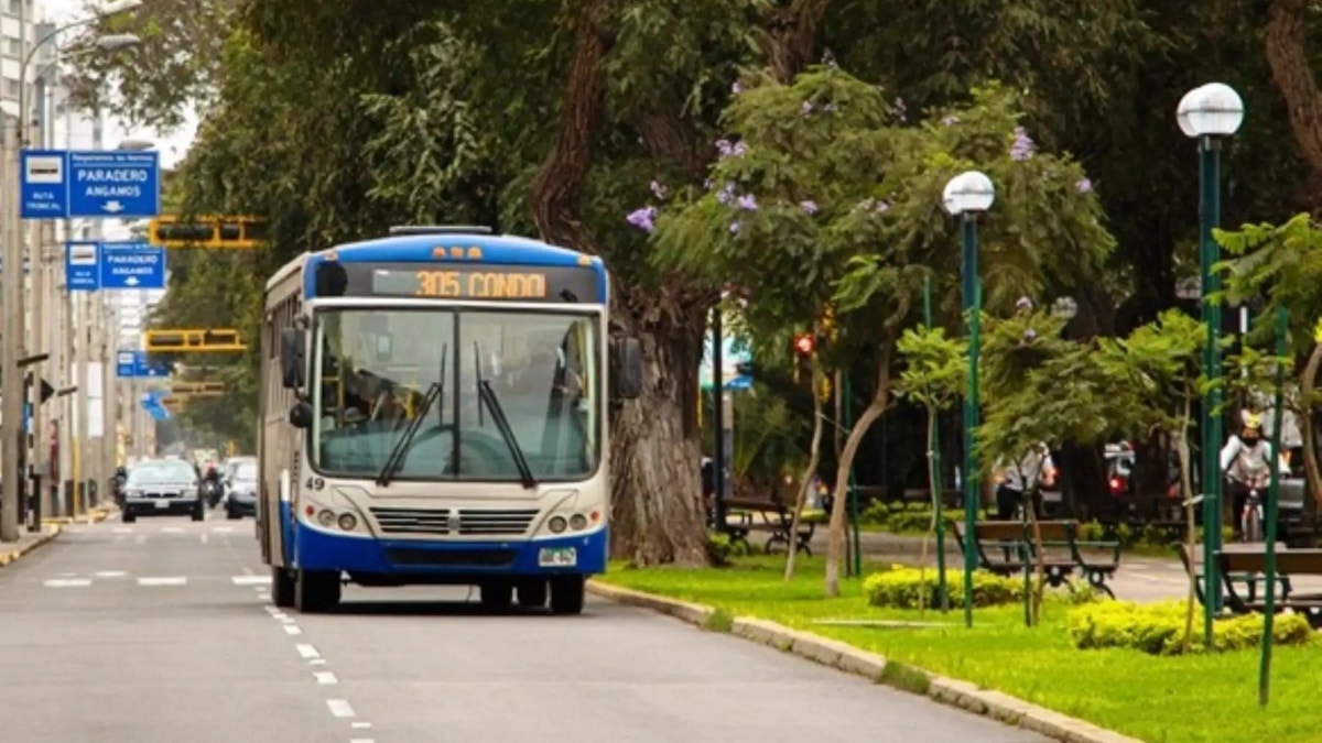 Corredor Azul: conoce las rutas alternas hacia Garcilaso de la Vega por plan piloto en avenida Arequipa