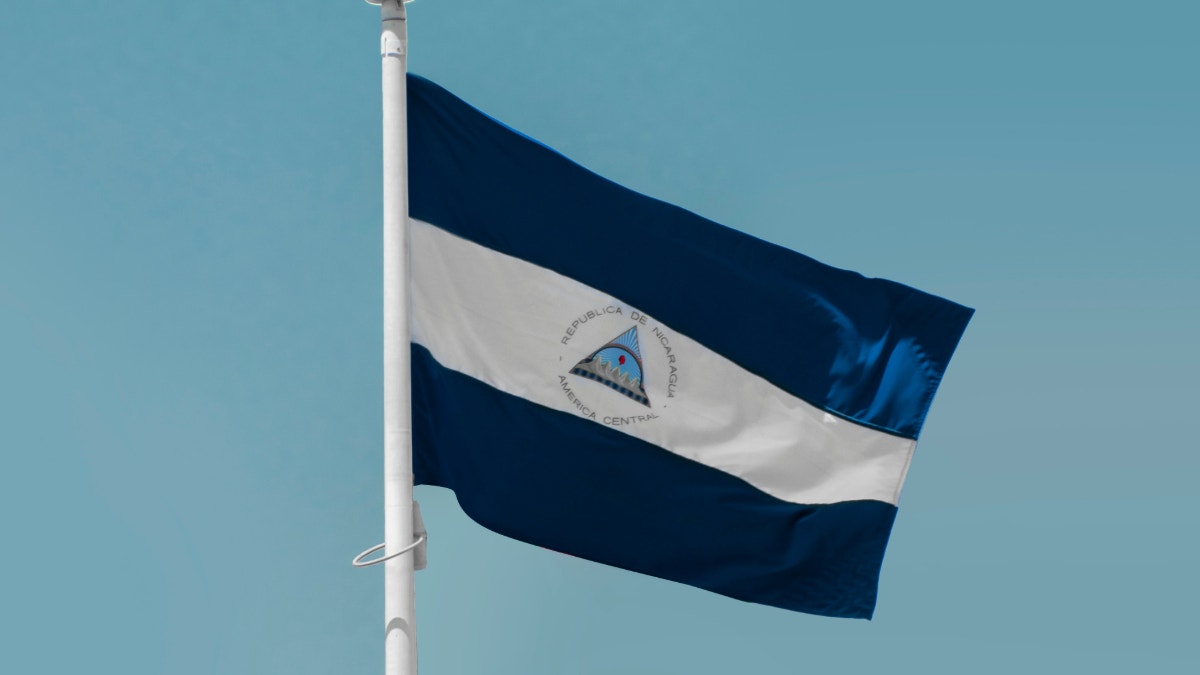 Imagen artículo