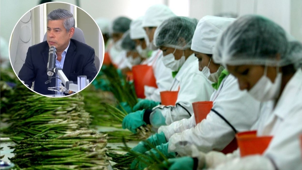 Beneficios tributarios a la agroexportación serán revisados por el Gobierno de Keiko Fujimori: el MEF decidirá si se eliminan