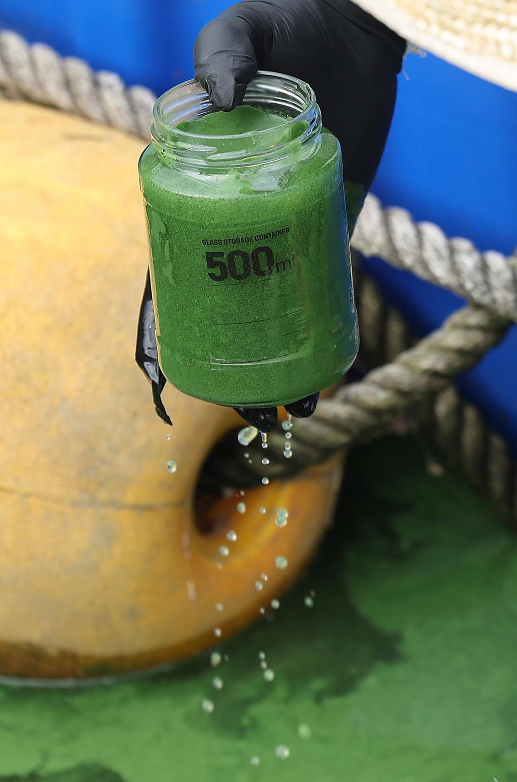 Organizaciones ecologistas recolectaron muestras de agua del río, a la altura de la presa de Dalseong, donde se presenta la mayor coloración verde.