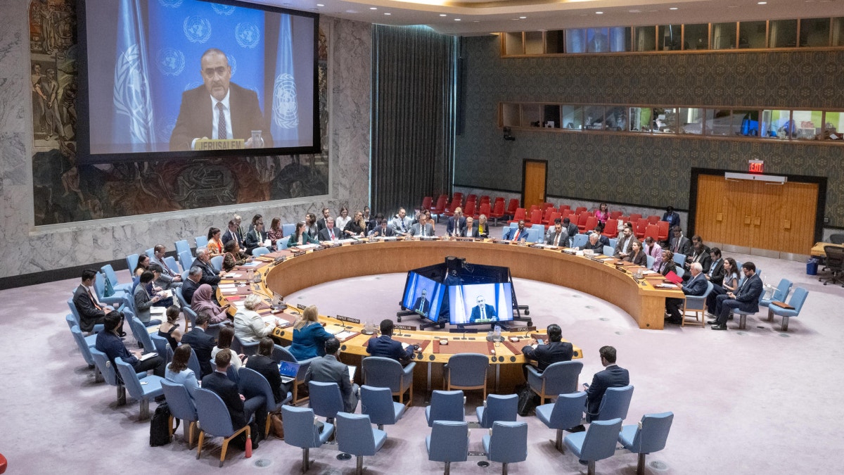 Consejo de Seguridad de la ONU celebra un segundo sondeo sobre aspirantes a secretario general