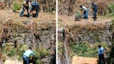 Cusco: rescatan a dos perritos que estuvieron tres días atrapados en la quebrada Sacramayo