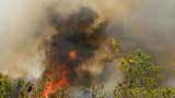 Alertan que incendios en Colombia son provocados y fenómeno de 'El Niño' alimenta las llamas