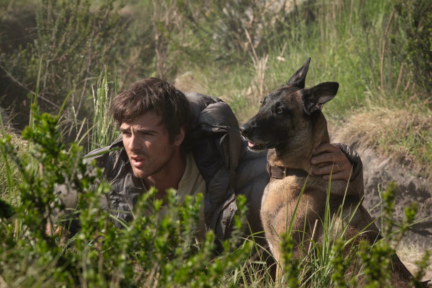 Jacob Elordi interpreta a Hig, un piloto civil que vive junto a su perro en 'La guerra de los últimos'.