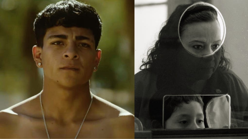 En el camino representará a México en los Oscar 2027. Mientras que Moscas lo hará para los premios Goya.