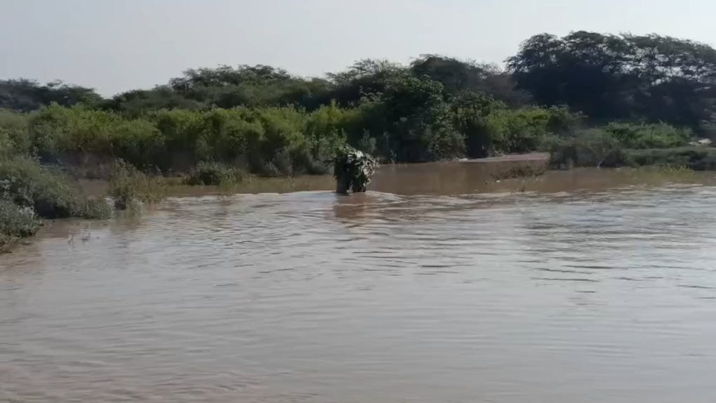 Más de 5 mil pobladores de Mórrope serían afectados por desborde de río La Leche