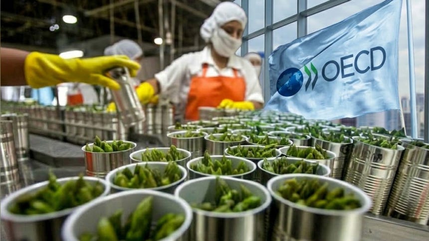 OCDE recomienda a Perú eliminar beneficios tributarios a las agroexportadoras: "Crecieron rápido, pero aportaron poco a la recaudación"