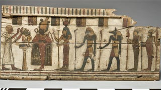 Un estudio revela qué animales y plantas se usaban para pintar en el antiguo Egipto