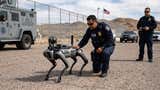 EE.UU. planea invertir 2 millones de dólares en perros robots para operativos de ICE