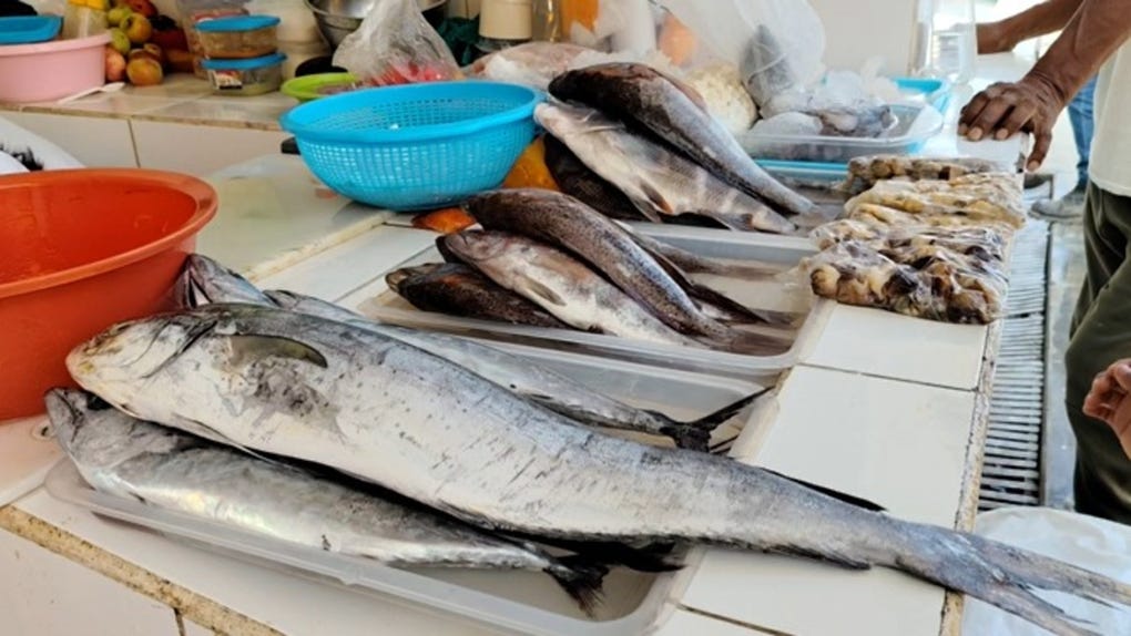 El perico se ve en los puestos de venta pese a la veda vigente sobre su pesca.