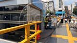Metropolitano: cierran Estación Ricardo Palma por presencia de abejas [VIDEO]