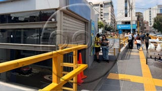 Metropolitano: cierran Estación Ricardo Palma por presencia de abejas [VIDEO]