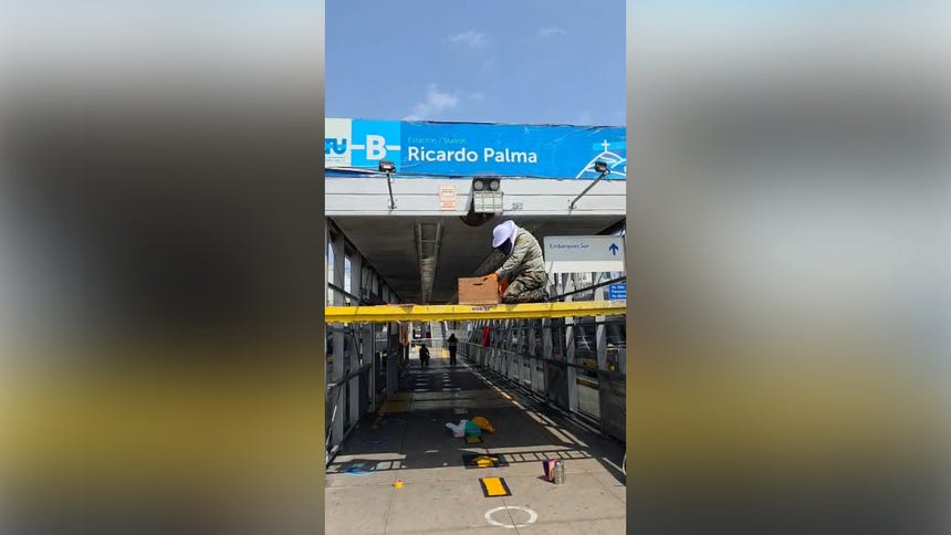 Estación Ricardo Palma reabre tras retiro de panal de abejas.
