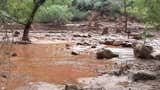 Evacúan a decenas de turistas del Gran Cañón tras fuertes inundaciones repentinas