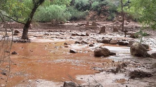 Evacúan a decenas de turistas del Gran Cañón tras fuertes inundaciones repentinas