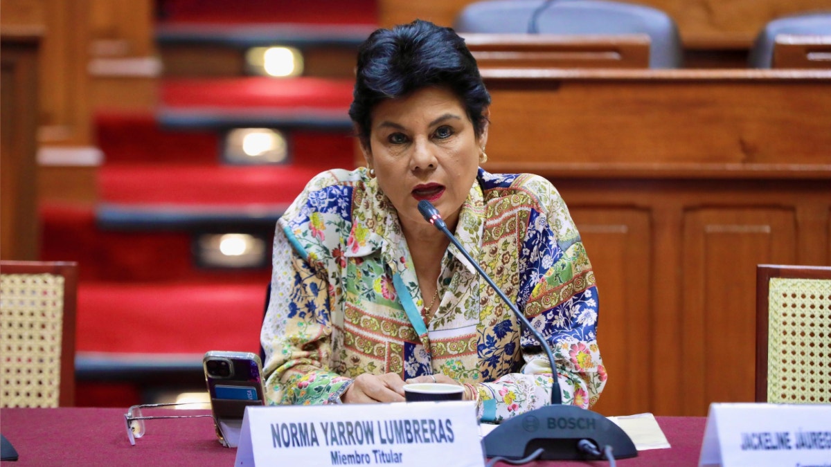 Diputada Norma Yarrow propone eliminar el financiamiento público a partidos políticos
