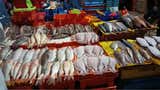 VMT: comerciantes del terminal pesquero reportan escasez de algunas especies de pescado por El Niño