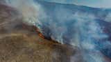 Arequipa: incendio forestal en Toro afecta unas 150 hectáreas de cobertura vegetal y tres viviendas [FOTOS]