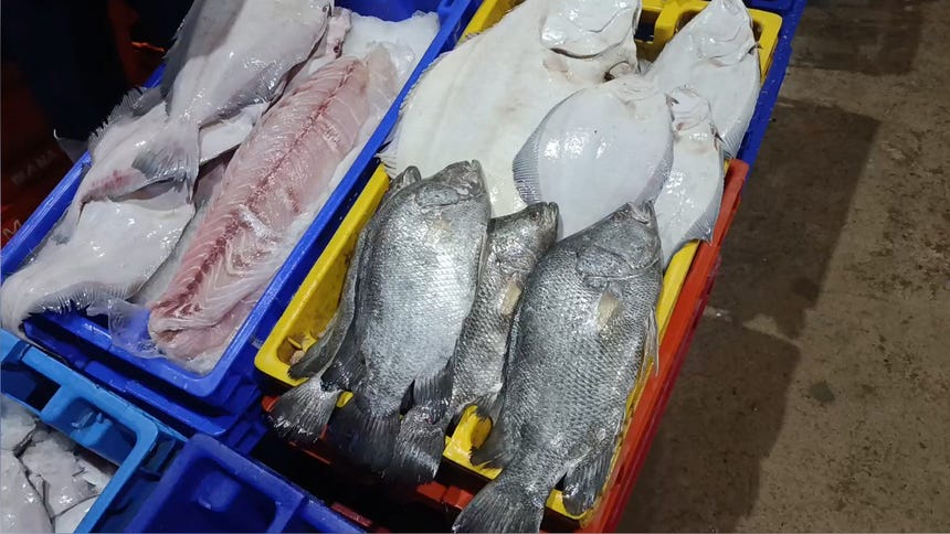 Los comerciantes del Terminal Pesquero del distrito limeño de Villa María del Triunfo informaron la disminución de la captura de algunas especies marinas