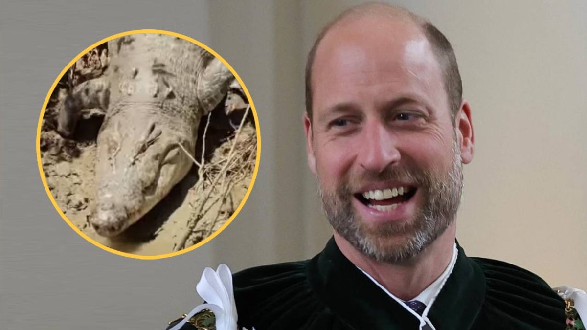 El príncipe William recibe un singular homenaje por su labor ambiental: un cocodrilo llevará su nombre [VIDEO]