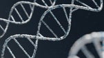 El ADN moldea nuestra personalidad: estudio señala que más de 1 200 variantes genéticas influyen en cómo somos