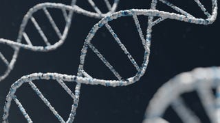 El ADN moldea nuestra personalidad: estudio señala que más de 1 200 variantes genéticas influyen en cómo somos