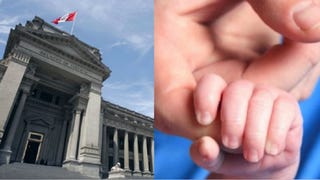 Prorrateo y embargo de alimentos: ¿en qué consiste?