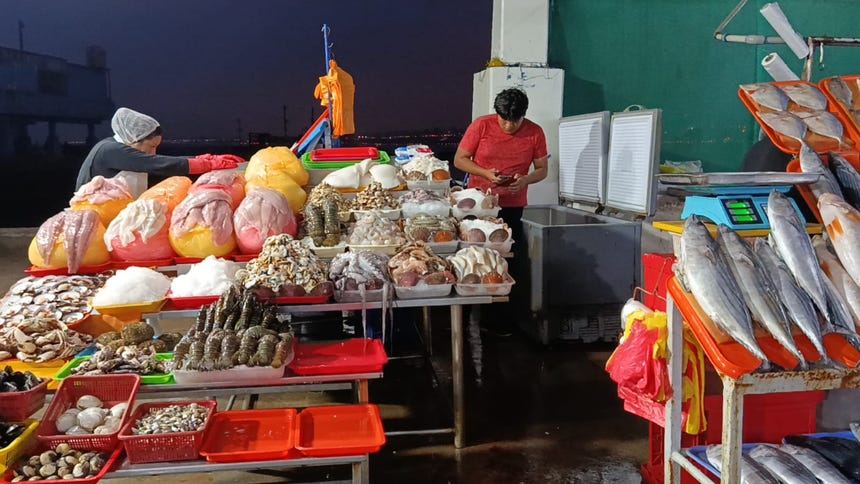Otras especies como el perico se encuentran a 40 soles el kilo y la corvina, 40 soles por entero.