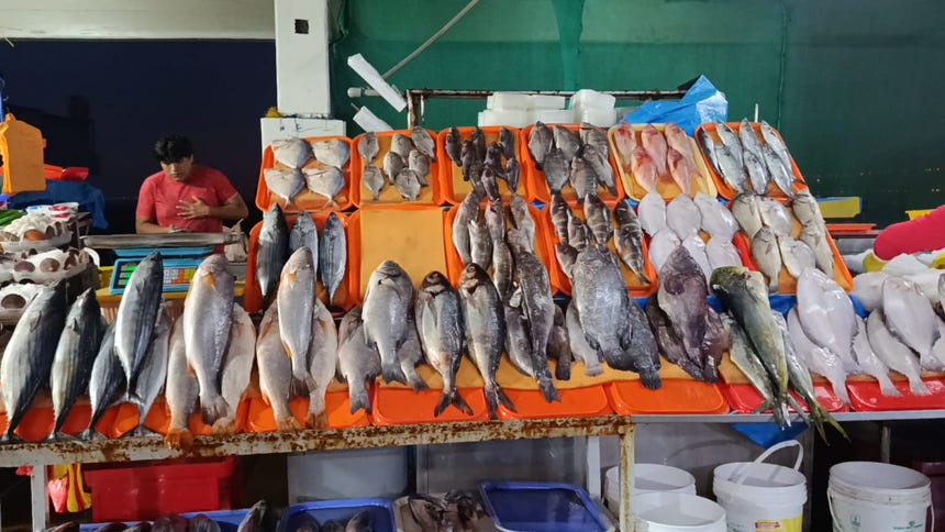 Los restaurantes cercanos al terminal, que venden el tradicional pan con pejerrey a 7 soles, también se han visto afectados.