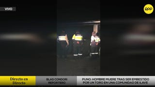 Puno: hombre muere tras ser embestido por un toro en Ilave
