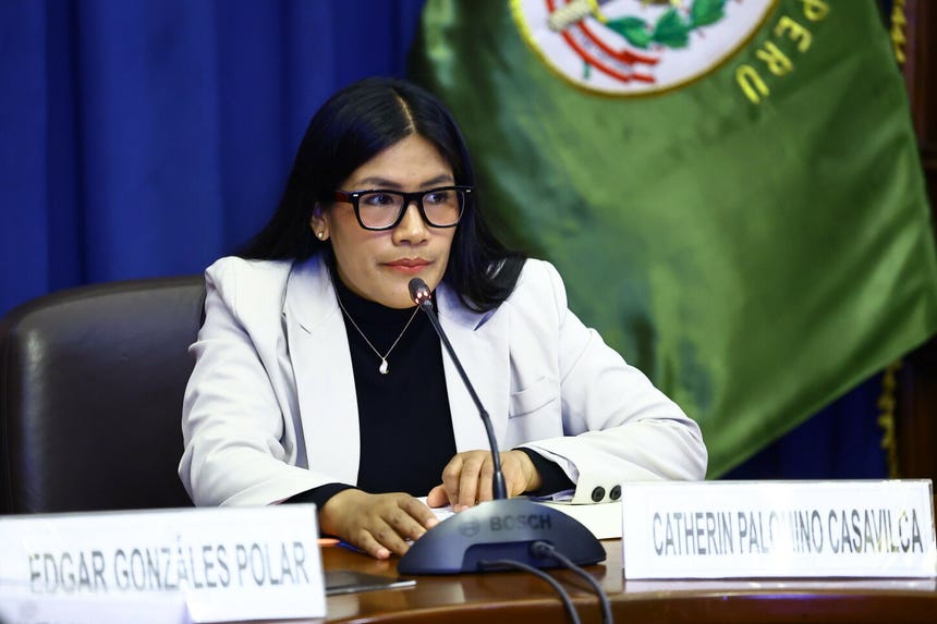 El primer proyecto fue presentado por la diputada Catherin Palomino