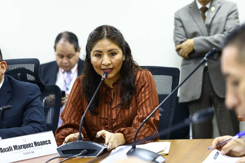 El segundo proyecto fue presentado por la parlamentaria Anali Márquez