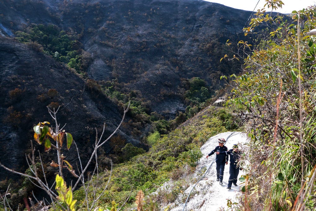 Para Ascanio, el saldo más doloroso no era solo el cansancio físico, sino el paisaje devastado: sistemas de riego destruidos, fuentes hídricas comprometidas y un impacto ambiental que tardará años en sanar.