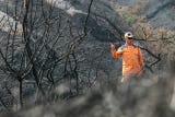 Un incendio forestal en las montañas de Ábrego, en el departamento del Norte de Santander (norte de Colombia), ha sido sofocado tras arrasar 3 000 hectáreas de vegetación, además de dañar redes de agua y cultivos locales.