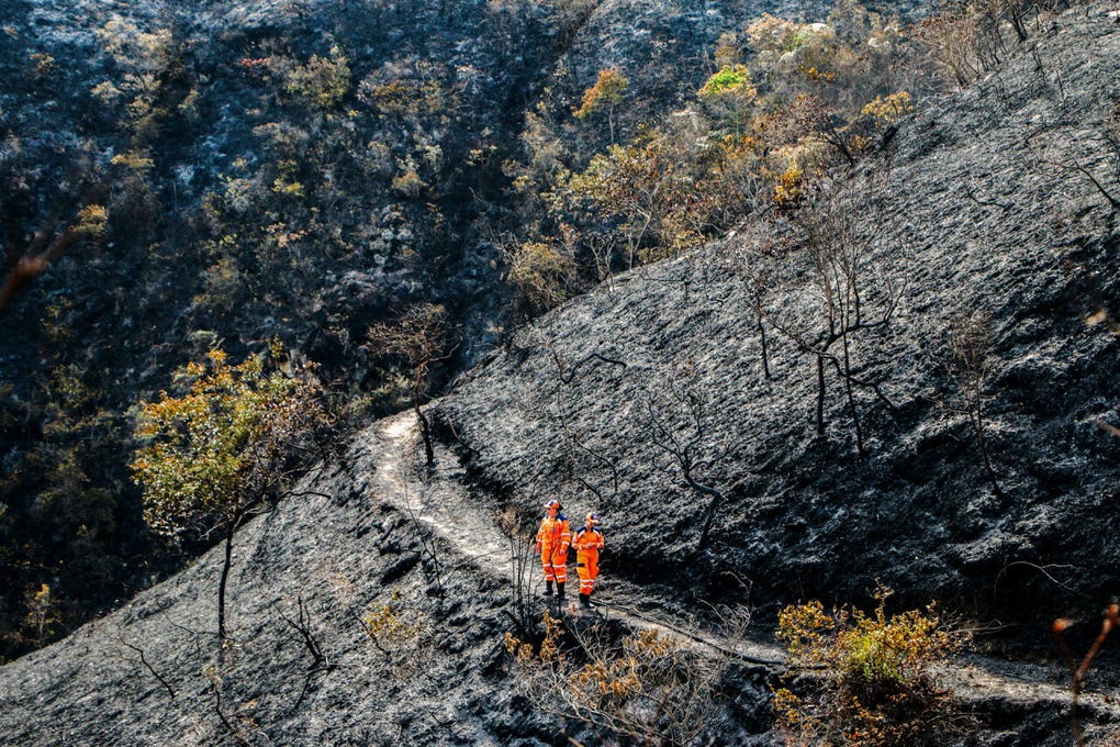 En las montañas de Ábrego, por su parte, aún flota en el aire el olor a humo. Vanessa Ascanio Arévalo, líder voluntaria de la Defensa Civil, relató este martes a EFE desde la zona cómo fueron esos tres días de ardua labor para aplacar uno de los mayores incendios en años.