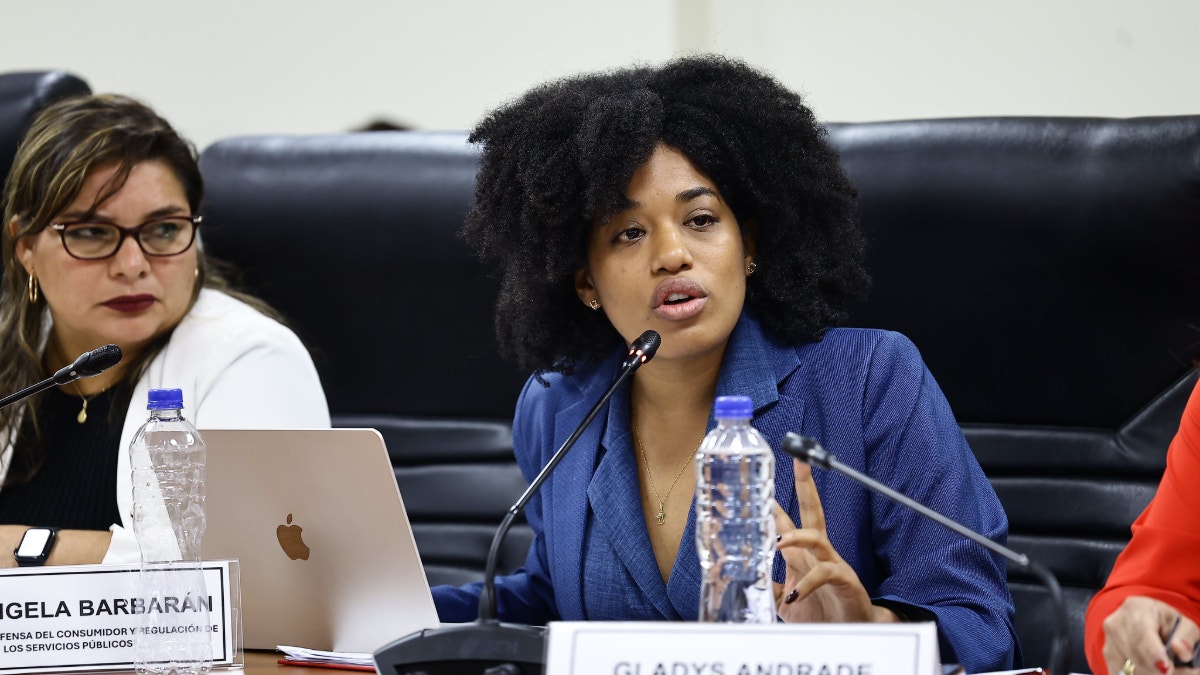 Rosangella Barbarán cree que hay una 'consigna' en Cámara de Diputados para denegar facultades legislativas al Ejecutivo