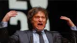 Sindicato argentino pide información sobre el estado de salud física y mental de Javier Milei