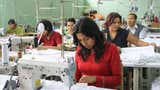 Nueve de cada 10 trabajadores de mypes no tienen sueldo fijo: comercio y servicios registran la mayor incidencia