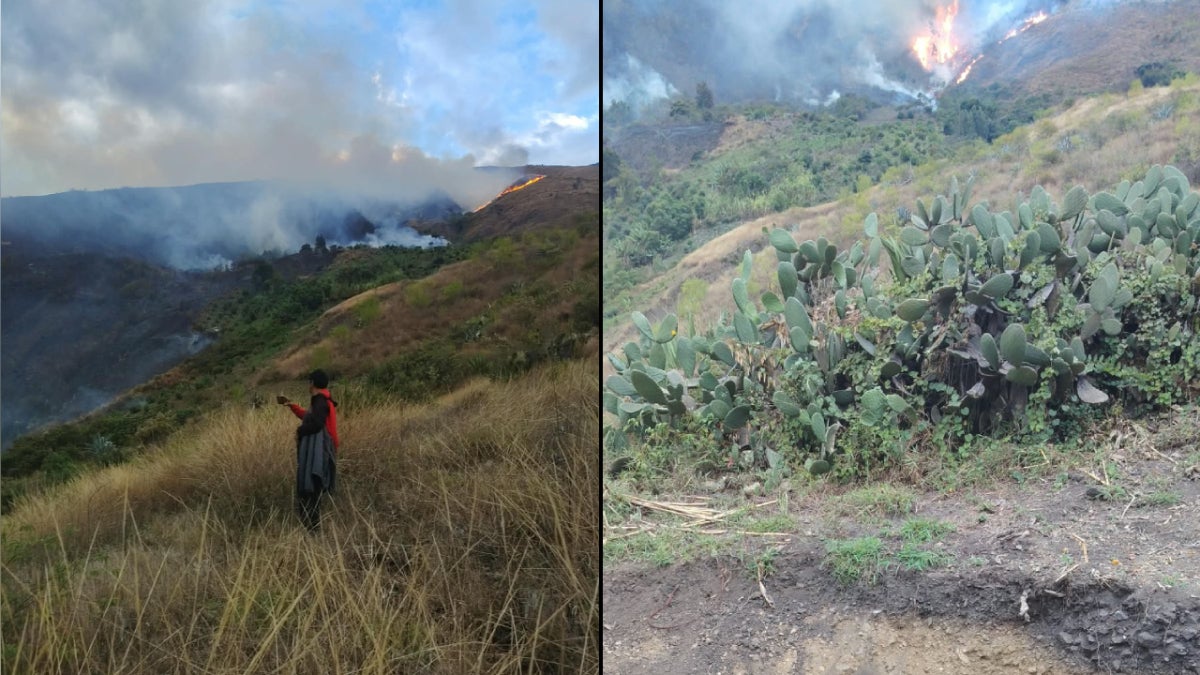 El fuego sigue aumentando con el correr de las horas y arrasa todo a su paso