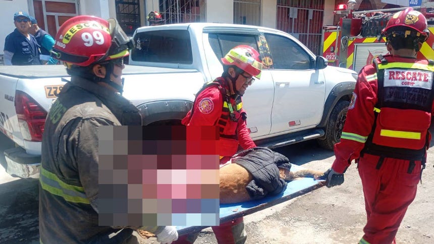 Tacna: Bomberos rescatan a perrita herida por una varilla de fierro tras caer de un segundo piso