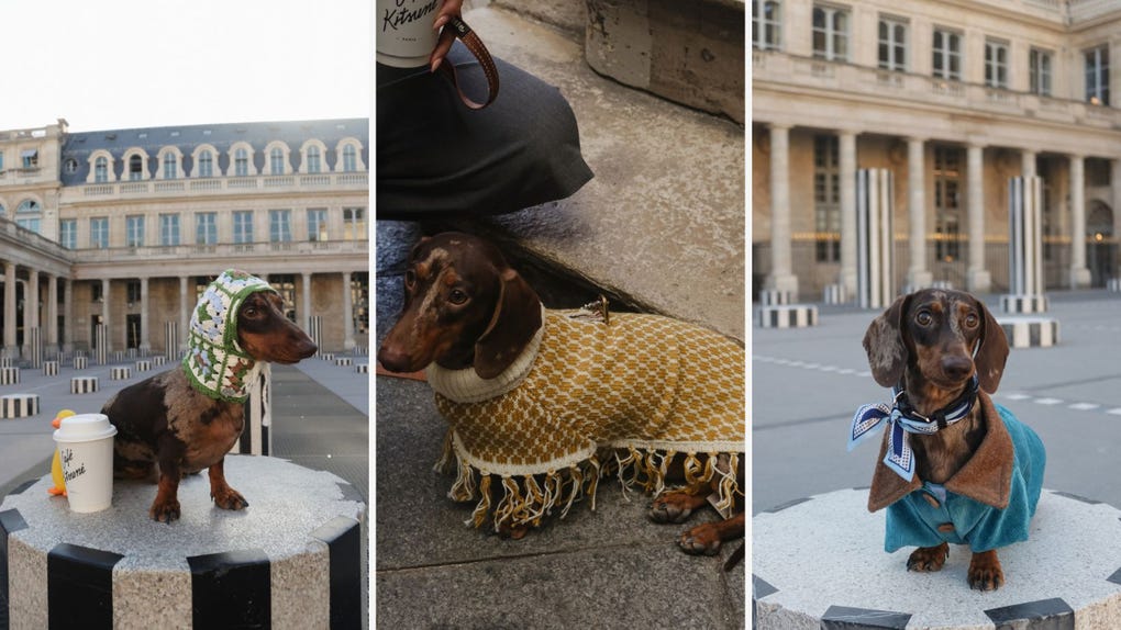 Mister Doggy lleva siete años en el mercado peruano y se presenta por primera vez en Paris Dog Week.