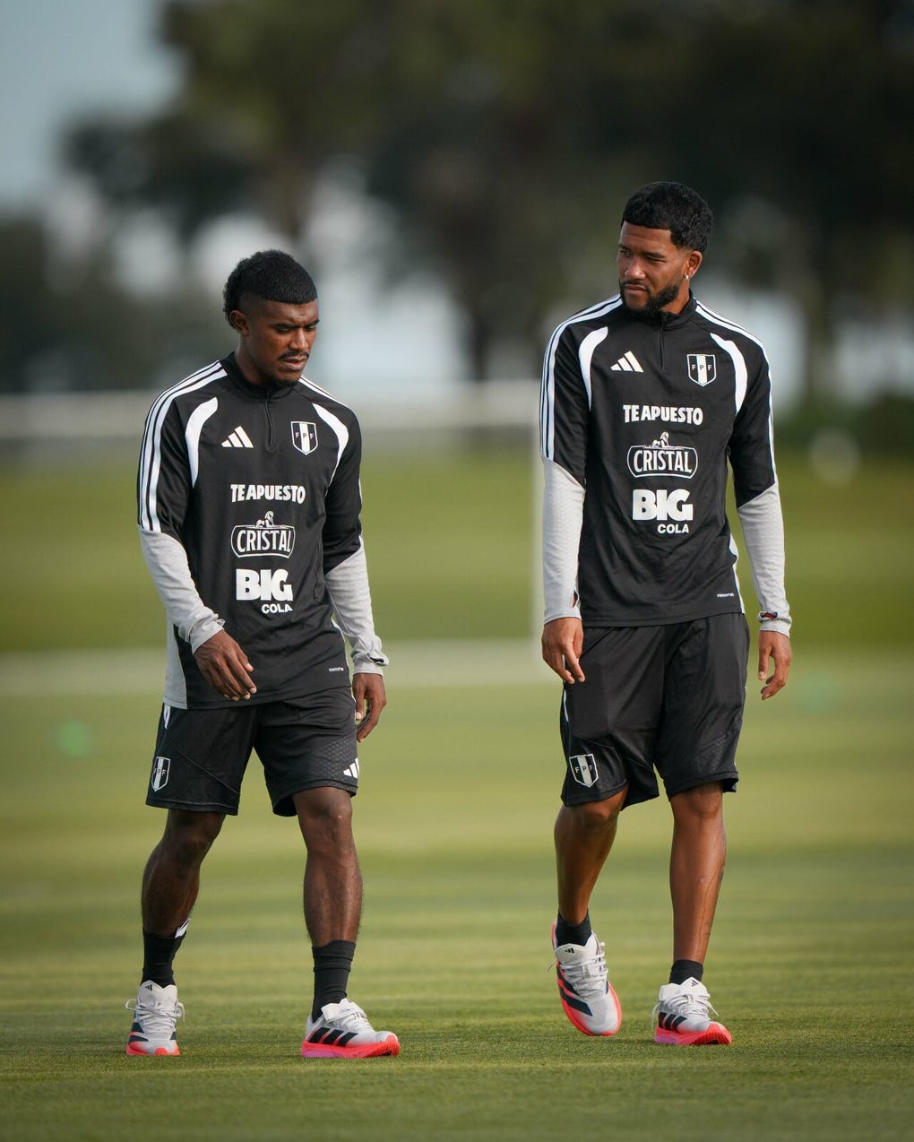 Osmling Mora y Piero Magallanes